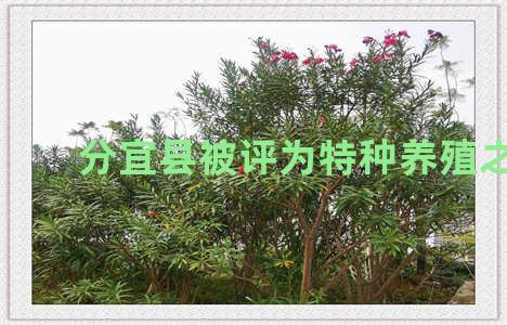 分宜县被评为特种养殖之乡