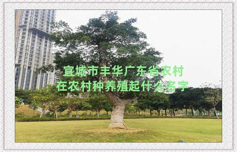 宜城市丰华广东省农村在农村种养殖起什么名字