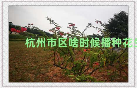 杭州市区啥时候播种花生