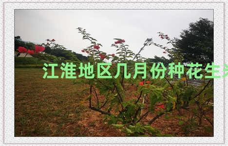 江淮地区几月份种花生米
