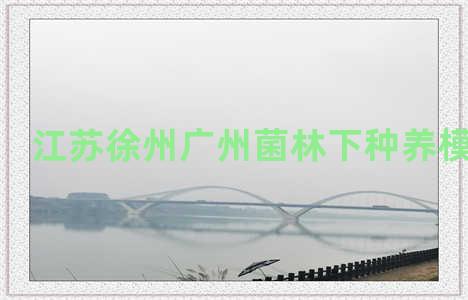 江苏徐州广州菌林下种养模式图片