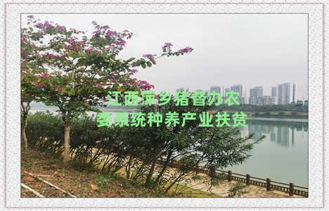 江西萍乡猪督办农委系统种养产业扶贫