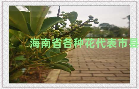 海南省各种花代表市县