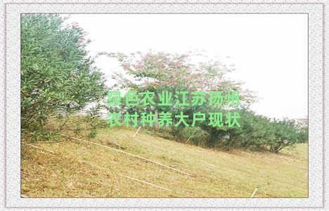 绿色农业江苏扬州农村种养大户现状