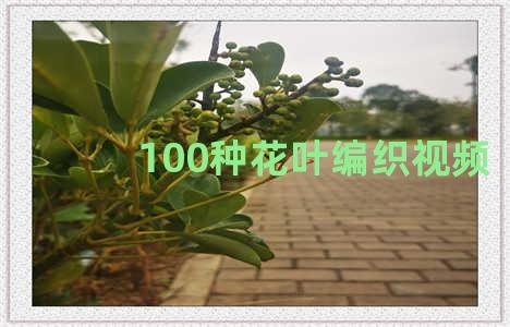 100种花叶编织视频