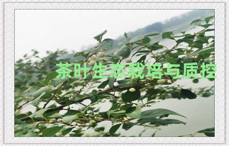 茶叶生态栽培与质控